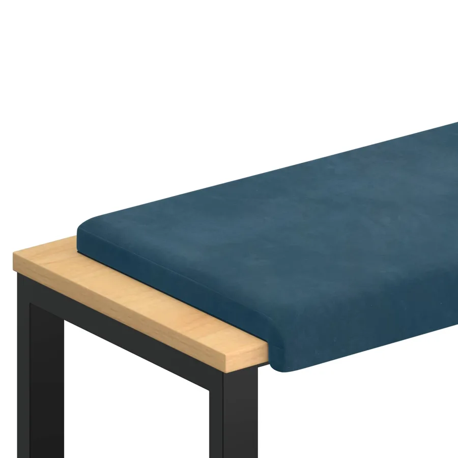 Coussin de banc Velours (V) Bleu Profondeur 35 cm - 2