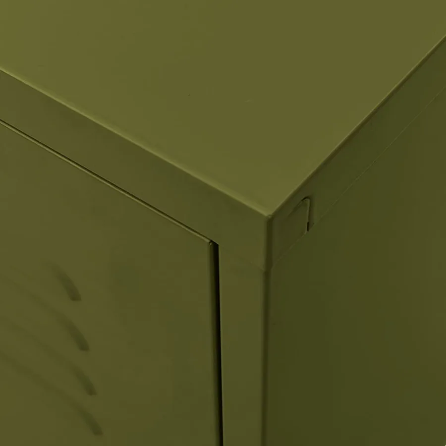 Meuble TV Vert olive 105x35x50 cm Acier - 7