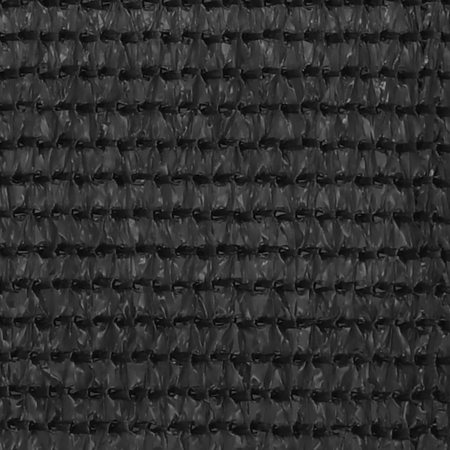 Écran de balcon Anthracite 120x400 cm PEHD - 2