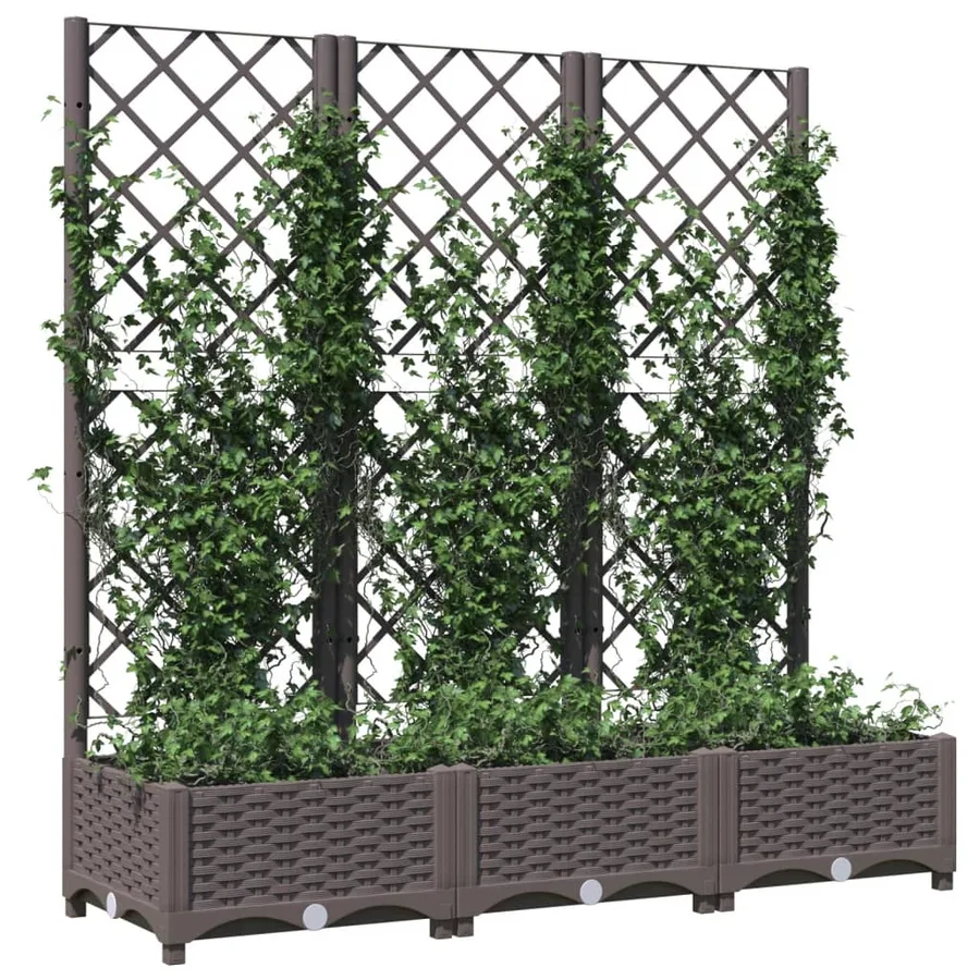 Jardinière avec treillis Marron 120 x 40 x 121,5 cm PP - 3