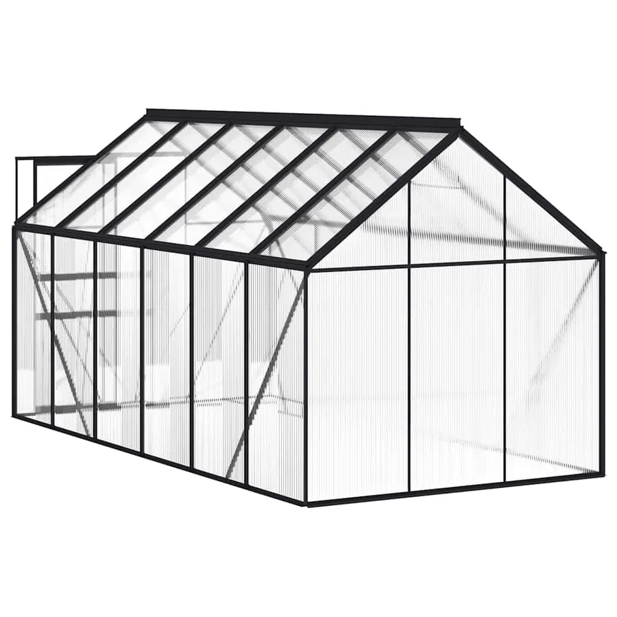 Serre avec cadre de base Anthracite Aluminium 7,03 m² - 5