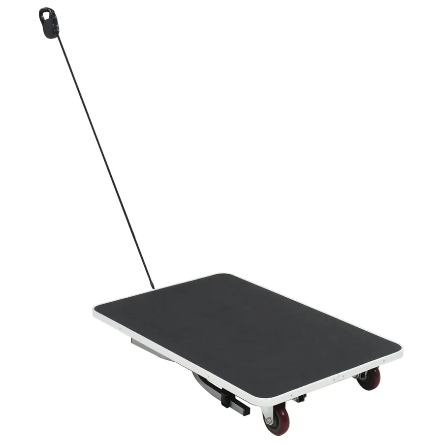Table de toilettage pour chien portable avec roulettes - 2