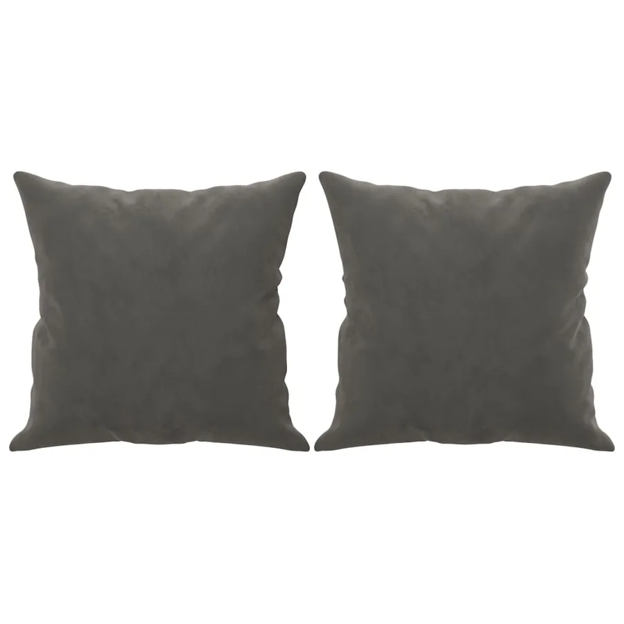 Coussins décoratifs lot de 2 Gris foncé 40x40 cm Velours - 2