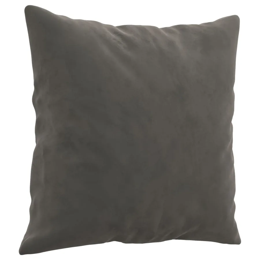 Coussins décoratifs lot de 2 Gris foncé 40x40 cm Velours - 3