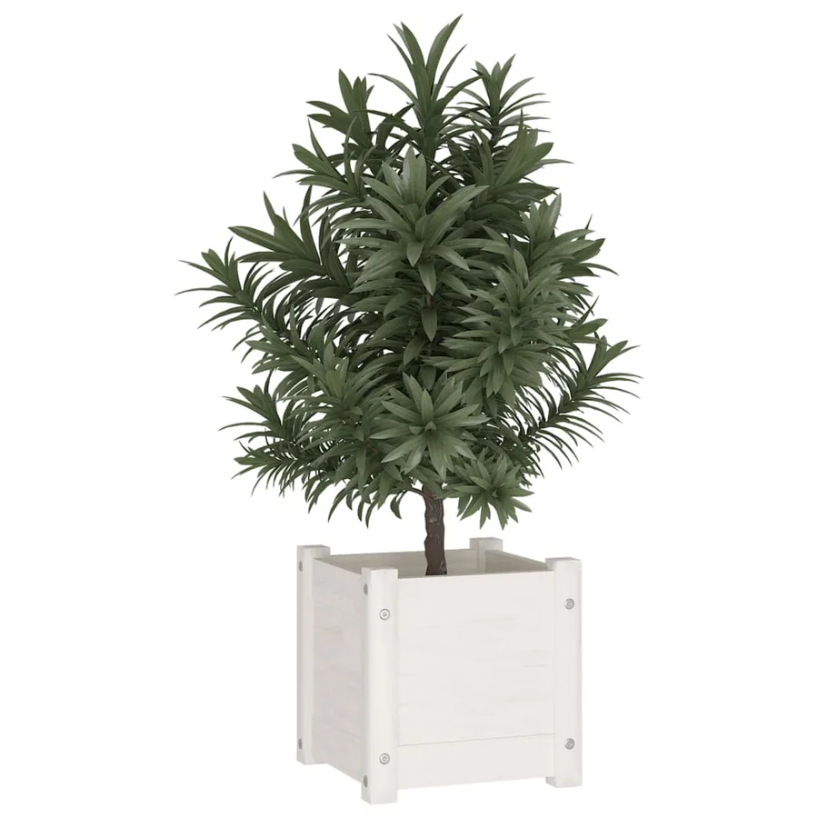 Jardinière d'extérieur Blanc 31x31x31 cm Bois de pin massif - 3