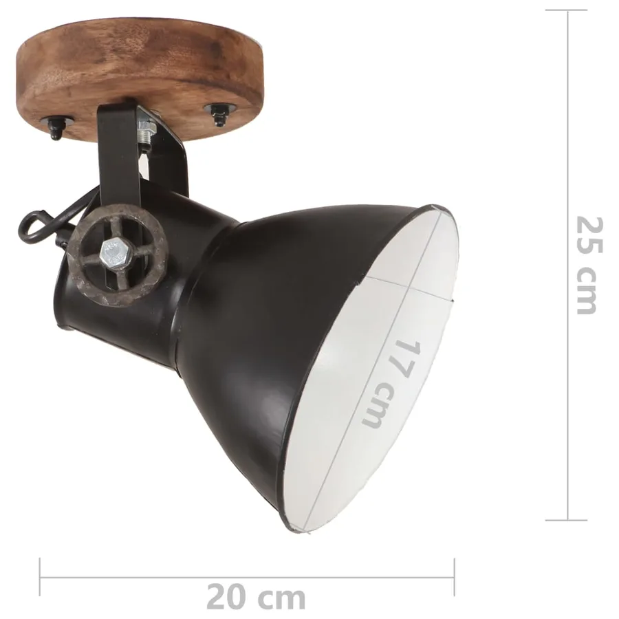 Lampe murale industrielle/de plafond 2 pcs Noir 20x25 cm E27 - 9