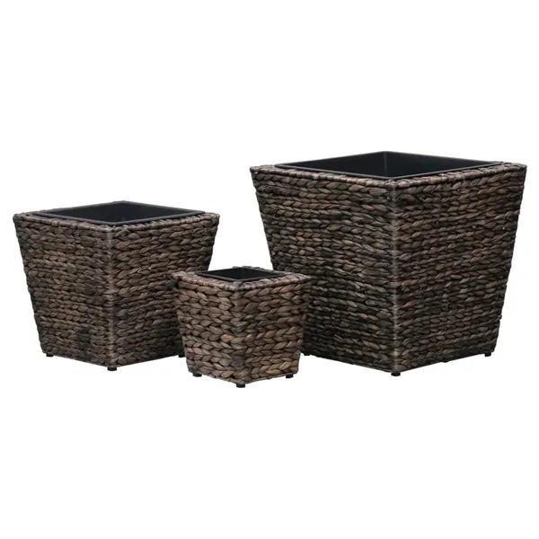 Lits surélevés 3 pcs Jacinthe d'eau Marron