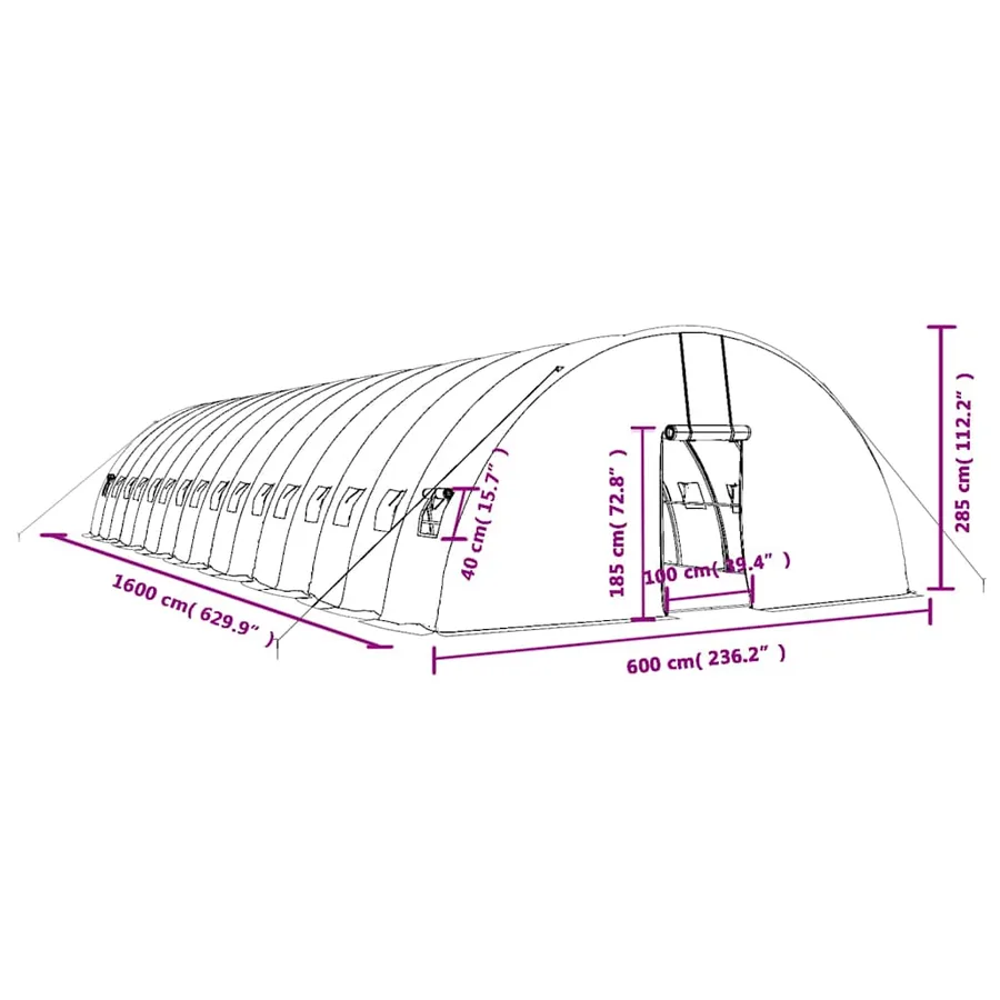 Serre avec cadre en acier vert 96 m² 16x6x2,85 m - 12