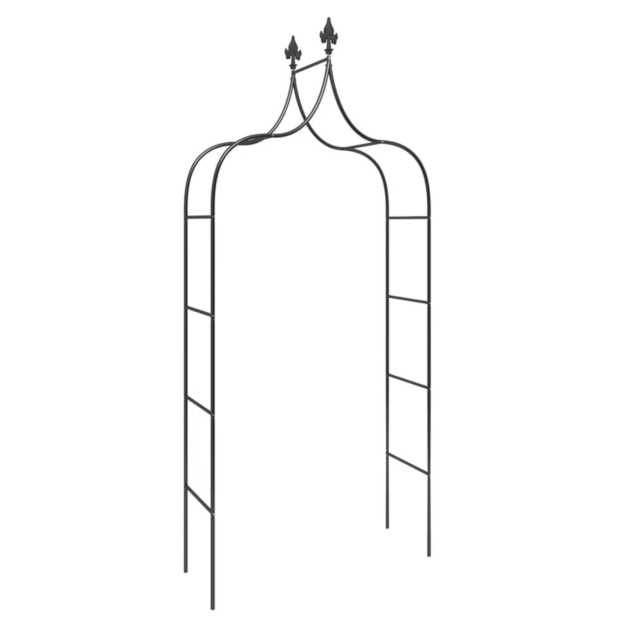 Arches de jardin 2 pcs Noir 120x38x260 cm Acier - 3