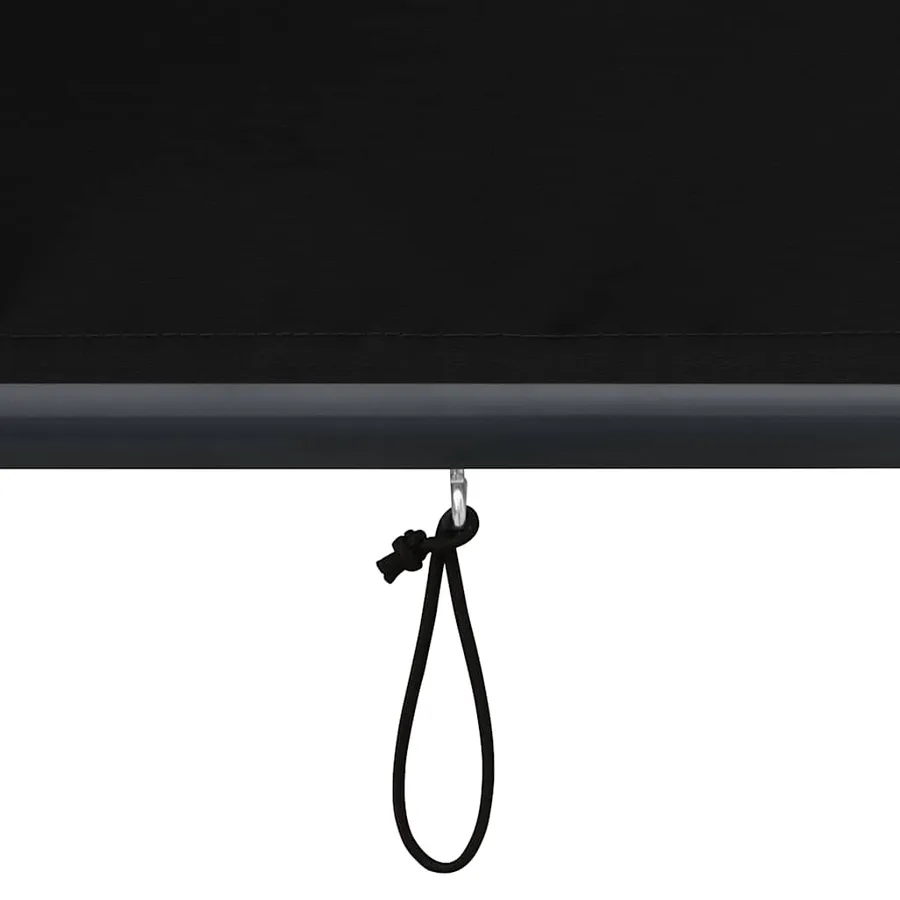 Store roulant d'extérieur 80 x 250 cm Anthracite - 8