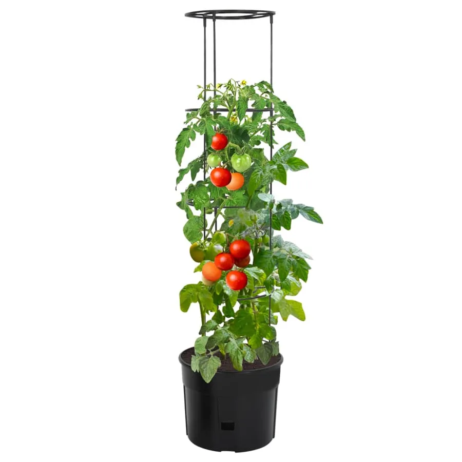 Jardinière à tomate Anthracite Ø39x150 cm Polypropylène - 2