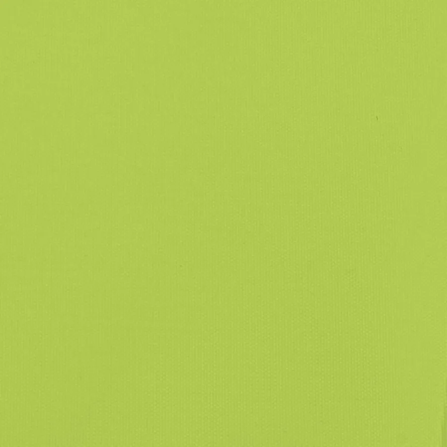 Remorque de vélo pour animaux de compagnie vert et gris - 12