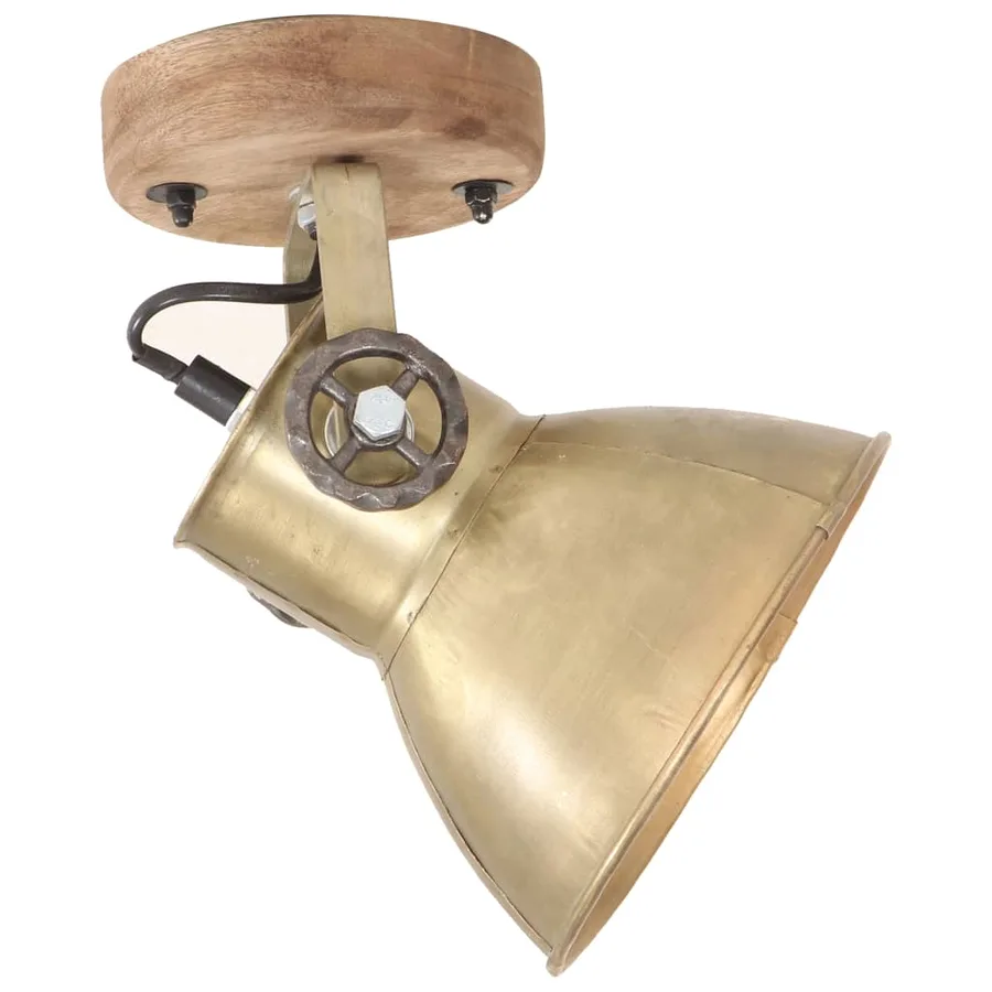 Lampe murale industrielle/de plafond 2 pcs Laiton 20x25 cm E27 - 4