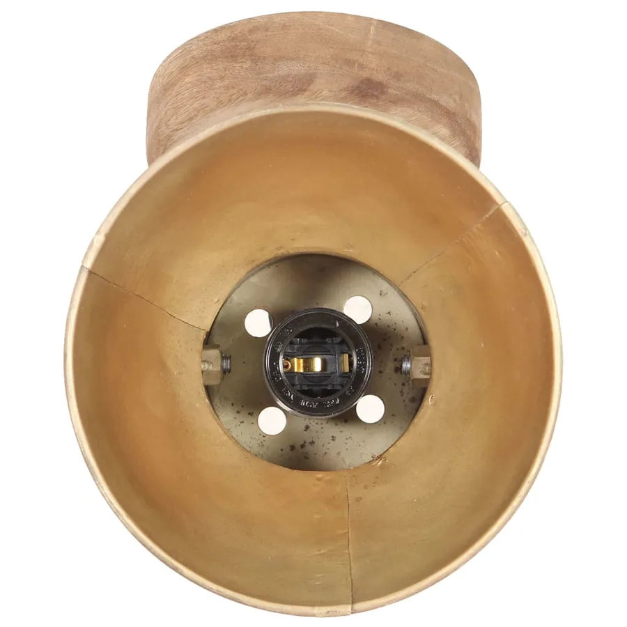 Lampe murale industrielle/de plafond 2 pcs Laiton 20x25 cm E27 - 6