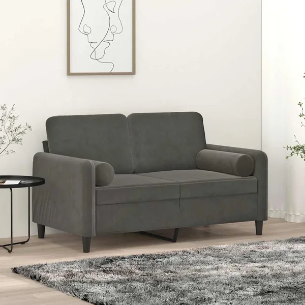Canapé 2 places oreillers et coussins Gris foncé 120 cm Velours