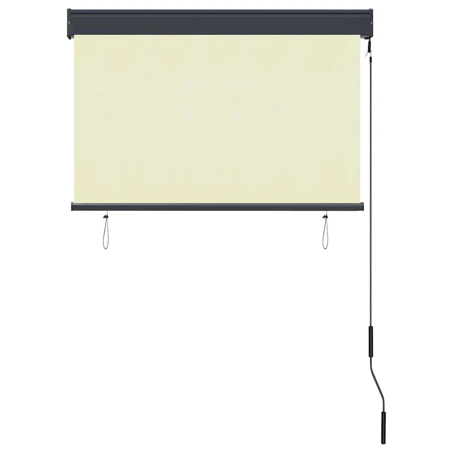 Store roulant d'extérieur 100 x 250 cm Crème - 4