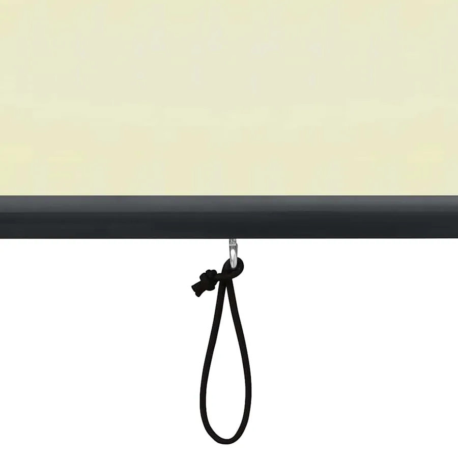 Store roulant d'extérieur 100 x 250 cm Crème - 8