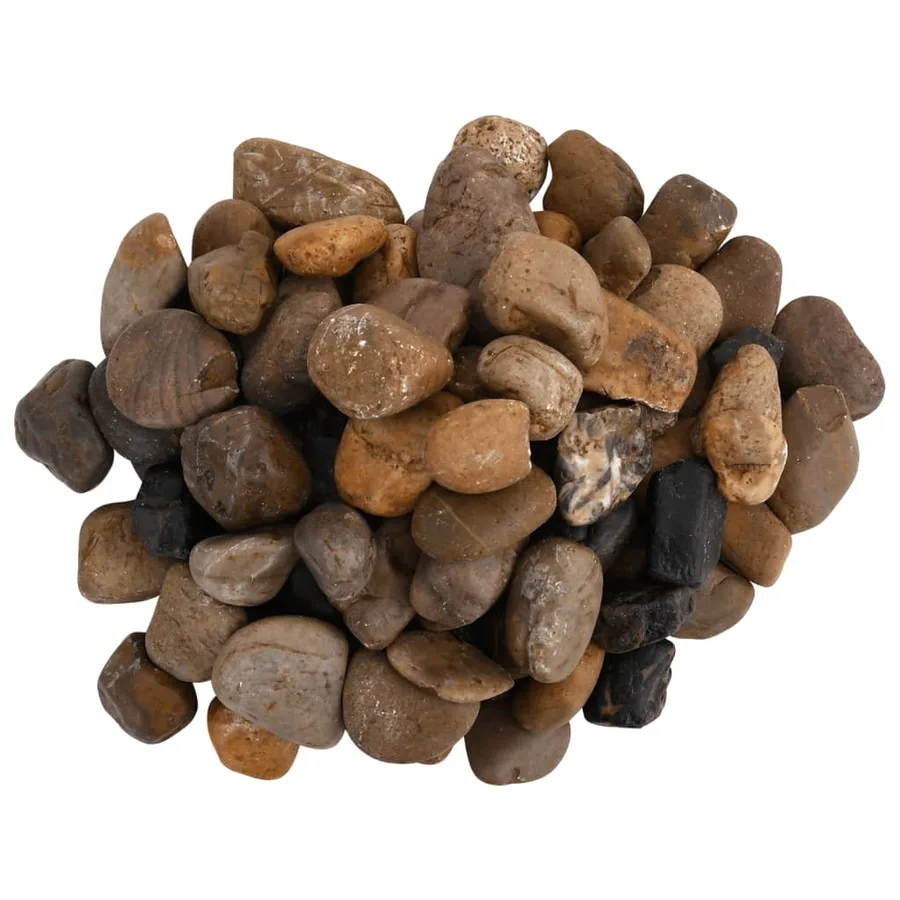 Galets polis 25 kg multicolores 2-5 cm - 4