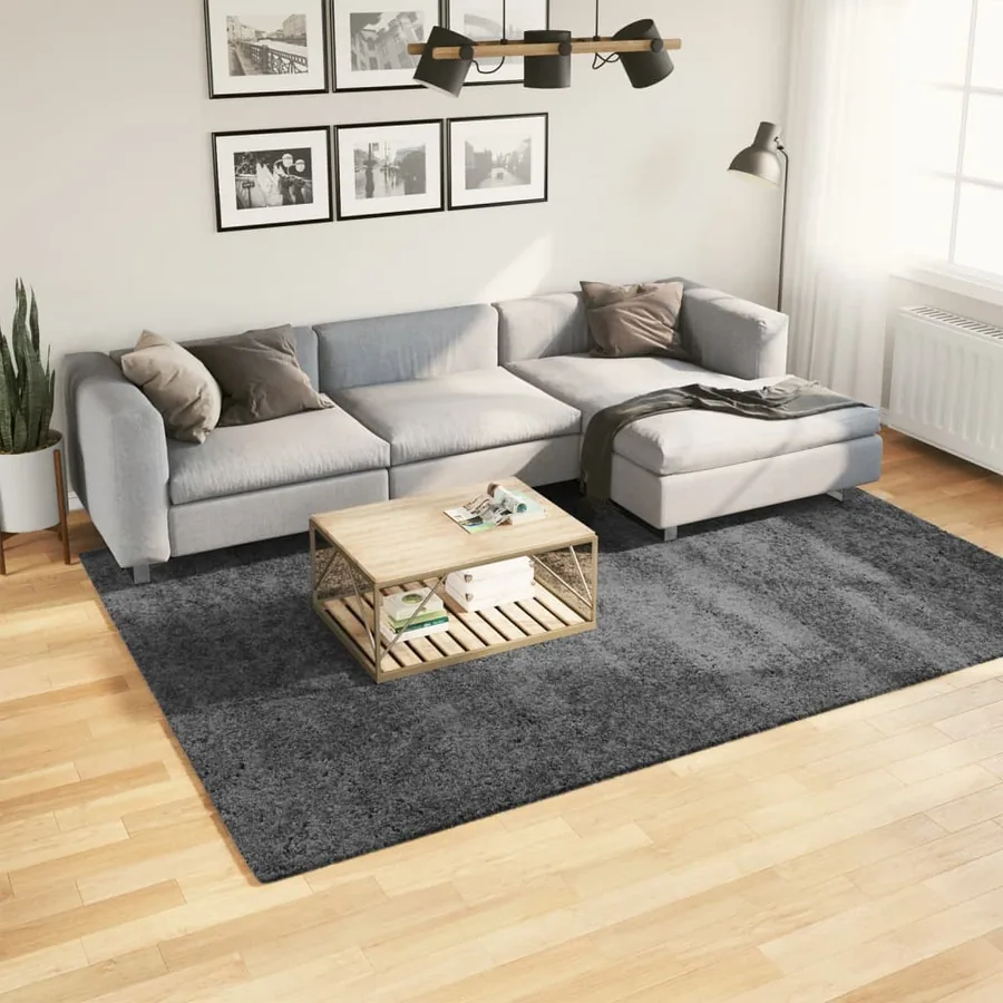 Tapis OVIEDO à poils courts anthracite 200x280 cm