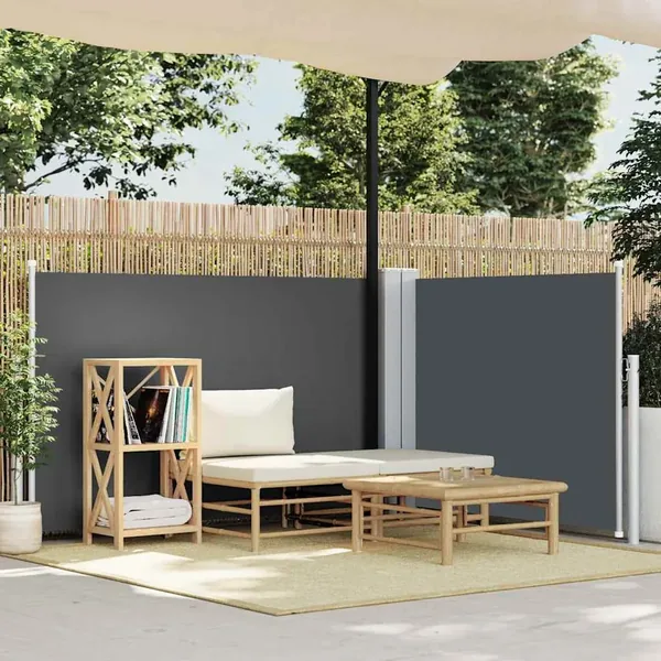 Auvent latéral rétractable Anthracite 120 x 600 cm