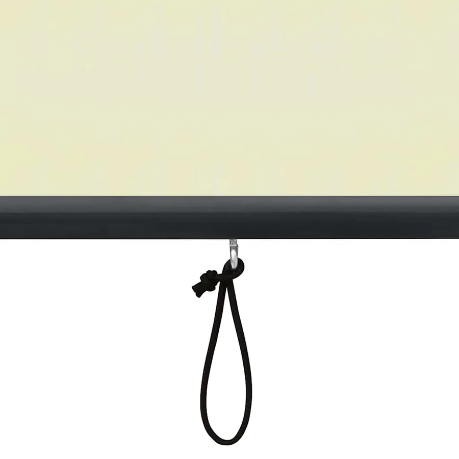 Store roulant d'extérieur 120 x 250 cm Crème - 9