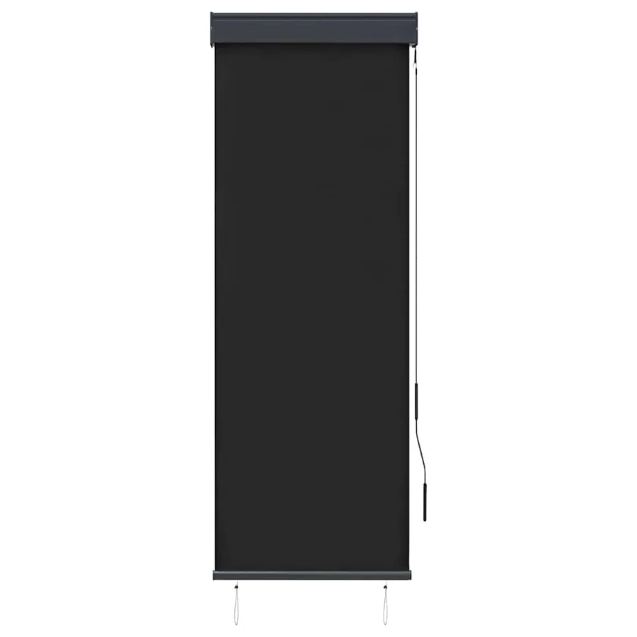 Store roulant d'extérieur 60 x 250 cm Anthracite - 2