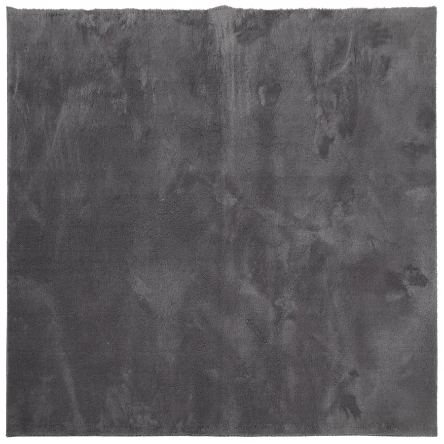 Tapis HUARTE à poils courts doux lavable anthracite 200x200 cm - 2