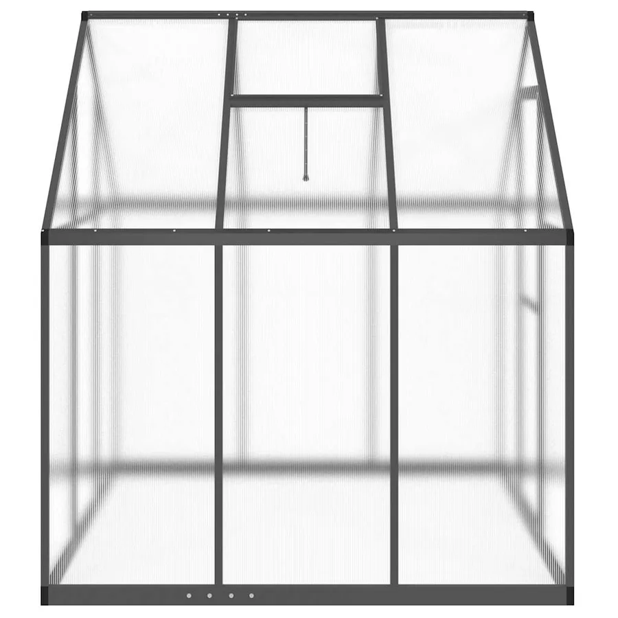 Serre avec cadre de base anthracite 169x169x195 cm aluminium - 4