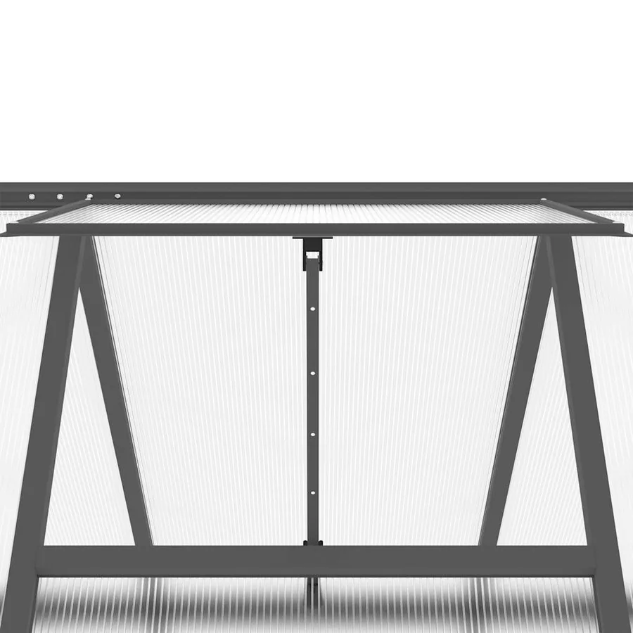 Serre avec cadre de base anthracite 169x169x195 cm aluminium - 9