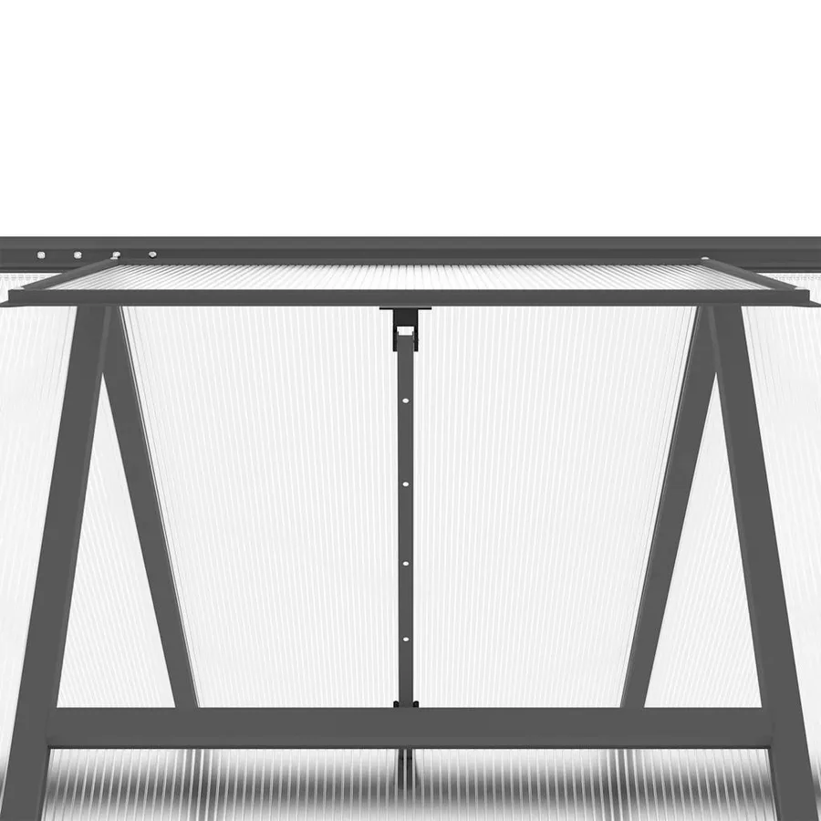 Serre avec cadre de base anthracite 334x169x202 cm aluminium - 9