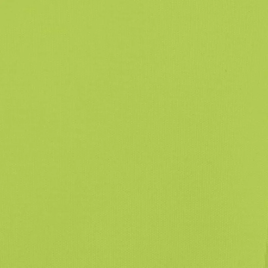 Remorque de vélo pour animaux de compagnie vert - 12