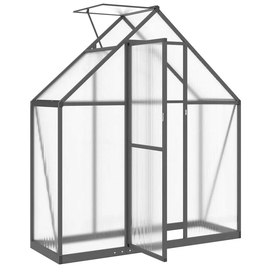 Serre avec cadre de base anthracite 169x58x195 cm aluminium - 6