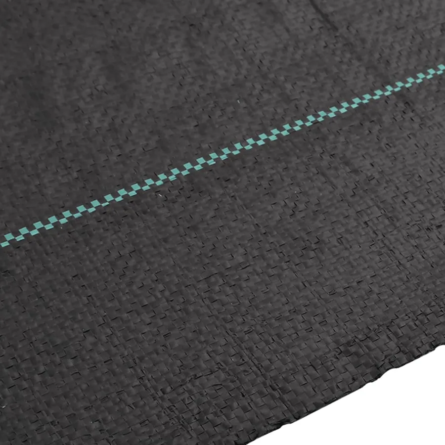 Membrane anti-mauvaises herbes noir 2x25 m PP - 4
