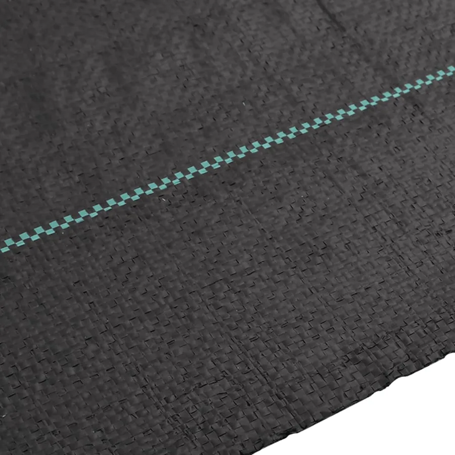 Membrane anti-mauvaises herbes noir 2x200 m PP - 4