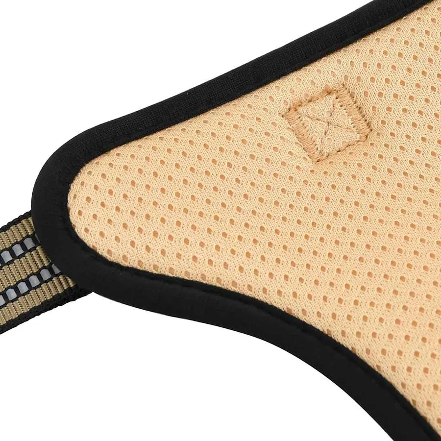 Harnais pour chien avec laisse et collier réglables S - 10