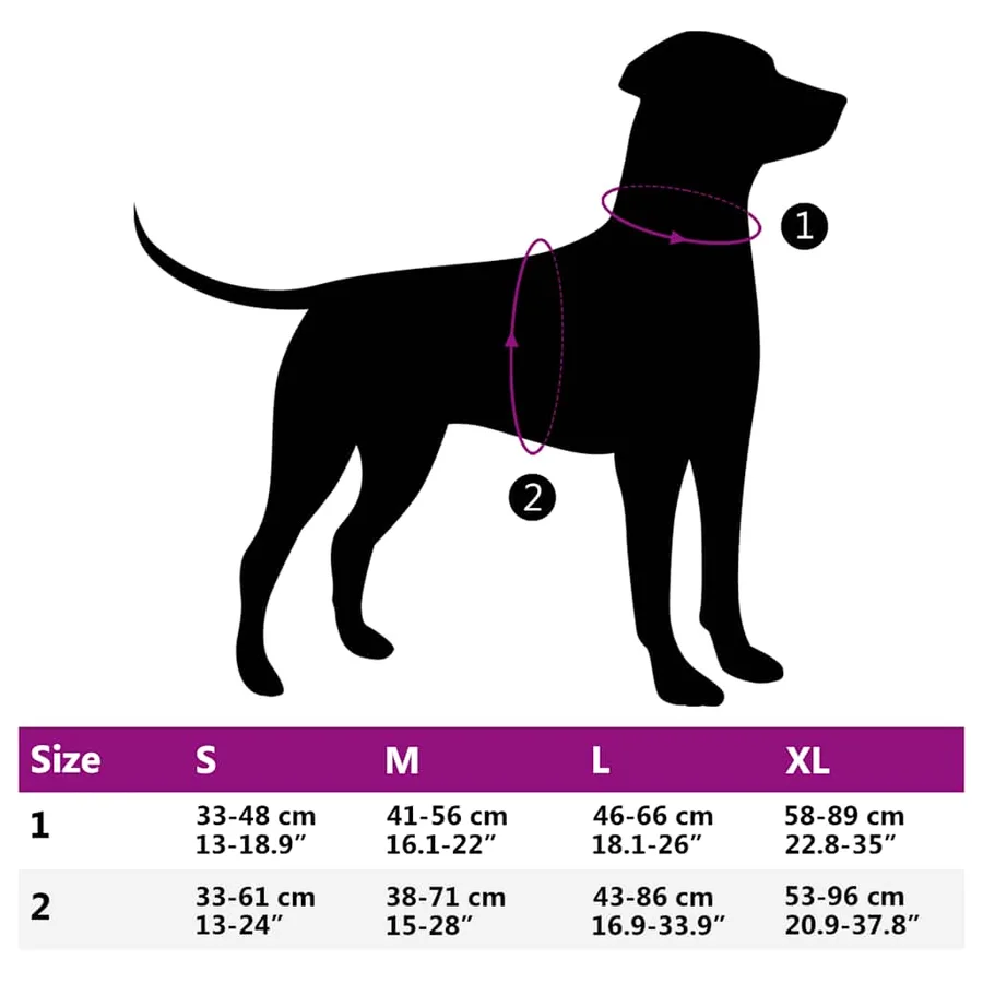 Harnais pour chien avec laisse et collier réglables S - 13