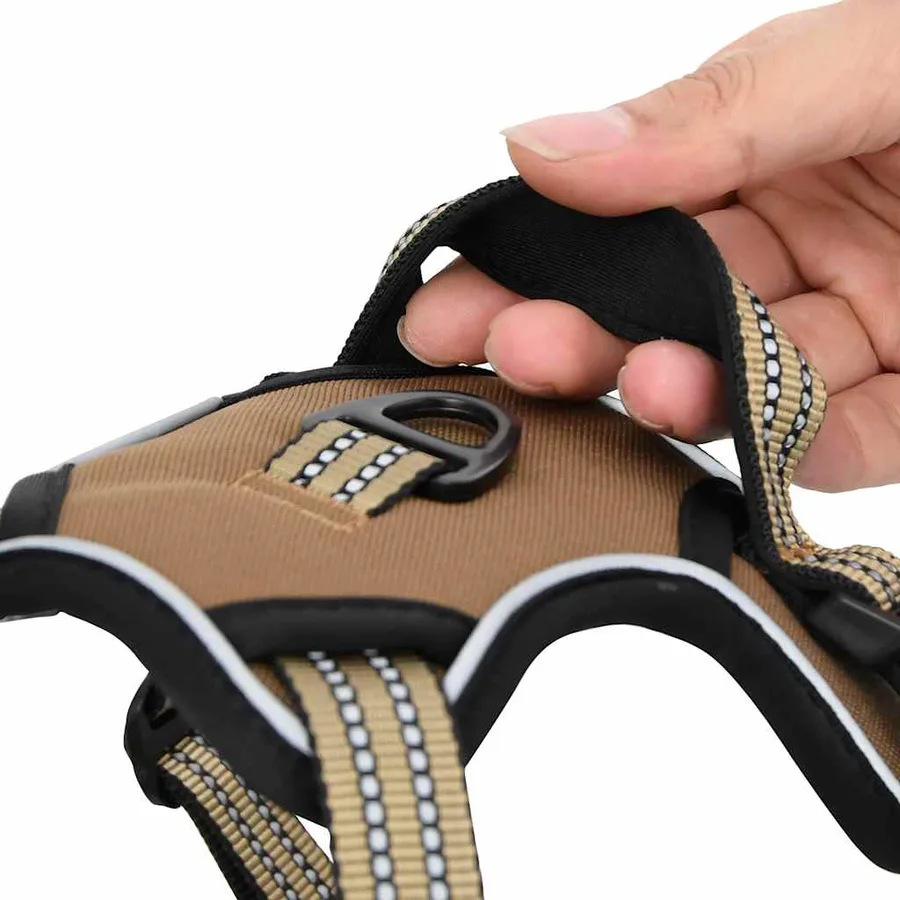 Harnais pour chien avec laisse et collier réglables marron XL - 12
