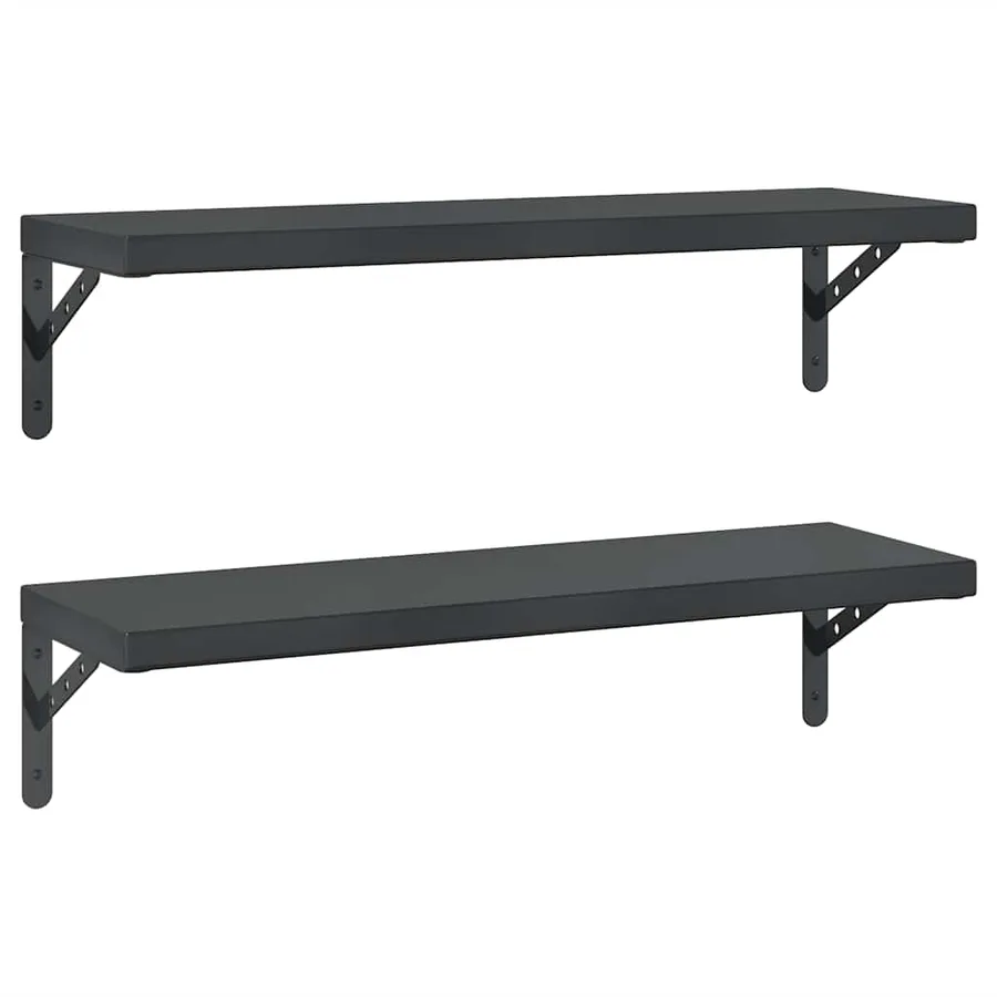 Étagères murales 2 pcs 75x23,5 cm noir acier inoxydable - 2