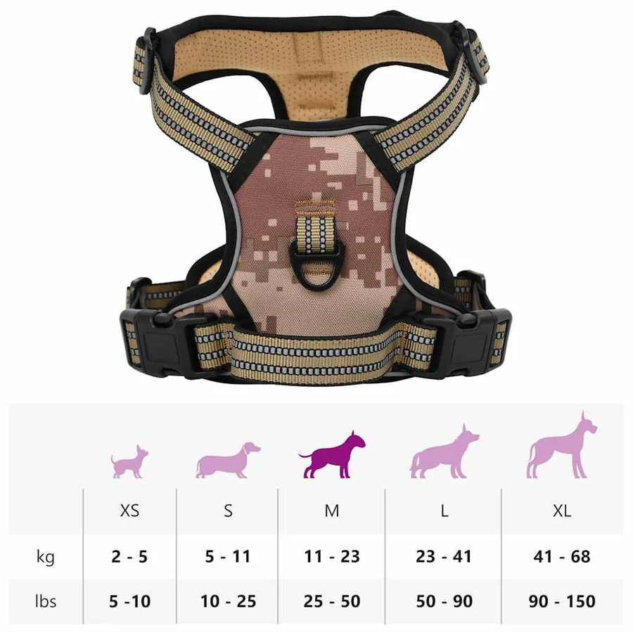 Harnais pour chien avec laisse et collier réglables M - 14