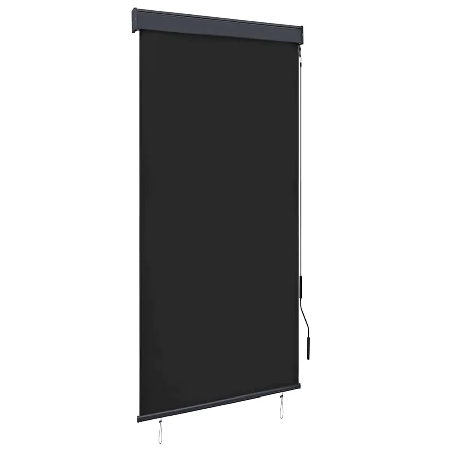 Store roulant d'extérieur 100 x 250 cm Anthracite