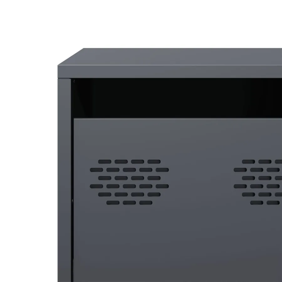 Meuble TV anthracite 101,5x39x43,5 cm acier laminé à froid - 10