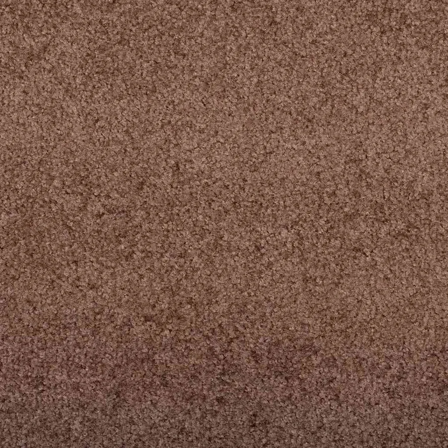 Tapis d'entrée Marron et Noir 120 x 400 cm 100% Polyamide - 6