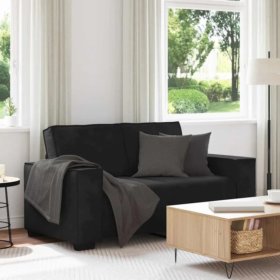Canapé à 2 places Noir 160x78x84 cm Velours