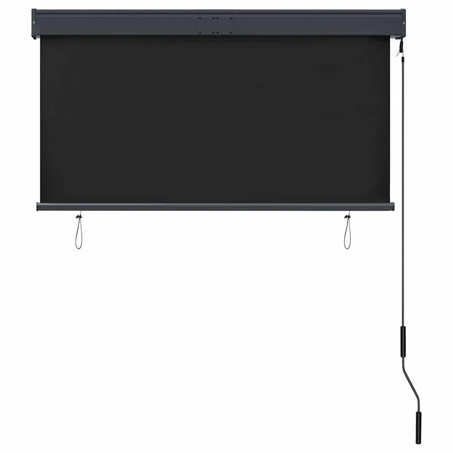 Store roulant d'extérieur 120 x 250 cm Anthracite - 3