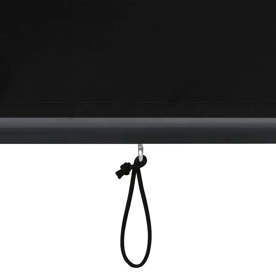 Store roulant d'extérieur 120 x 250 cm Anthracite - 9