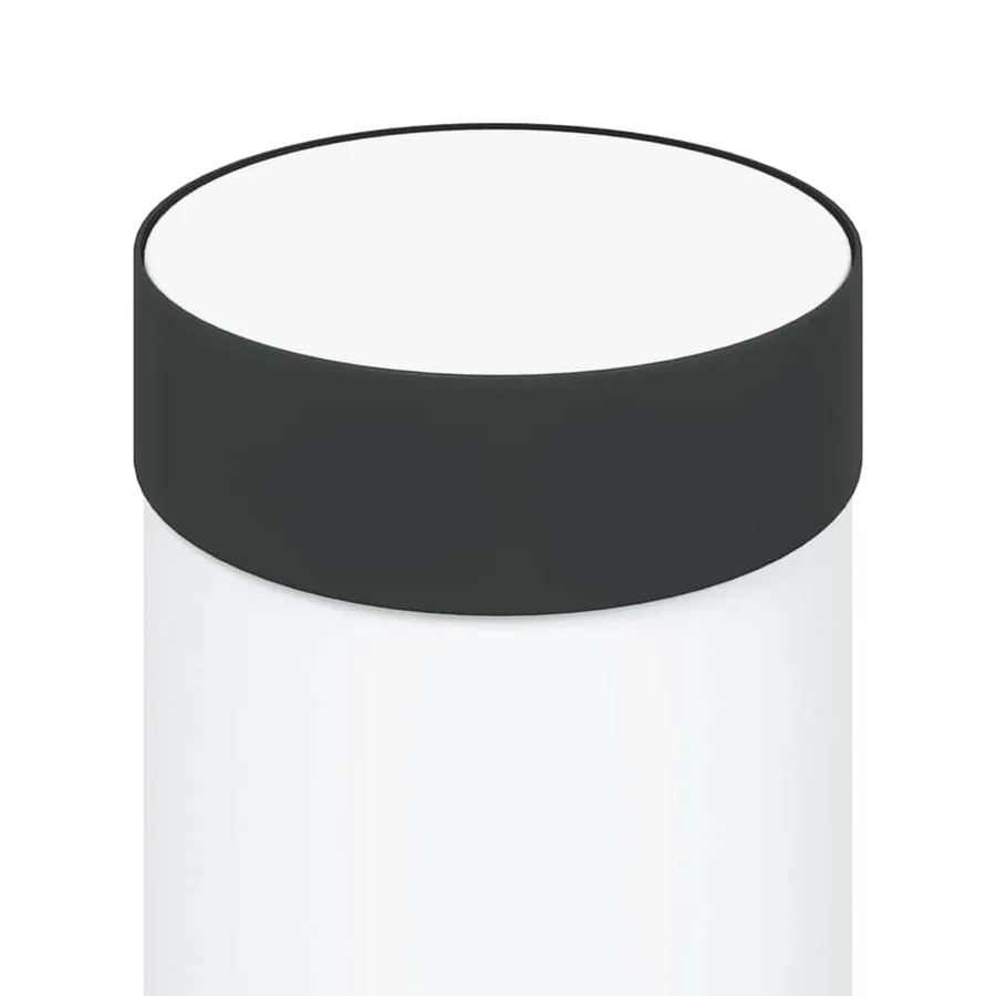 Borne lumineuse 110 cm en acier inoxydable IP44 - 7