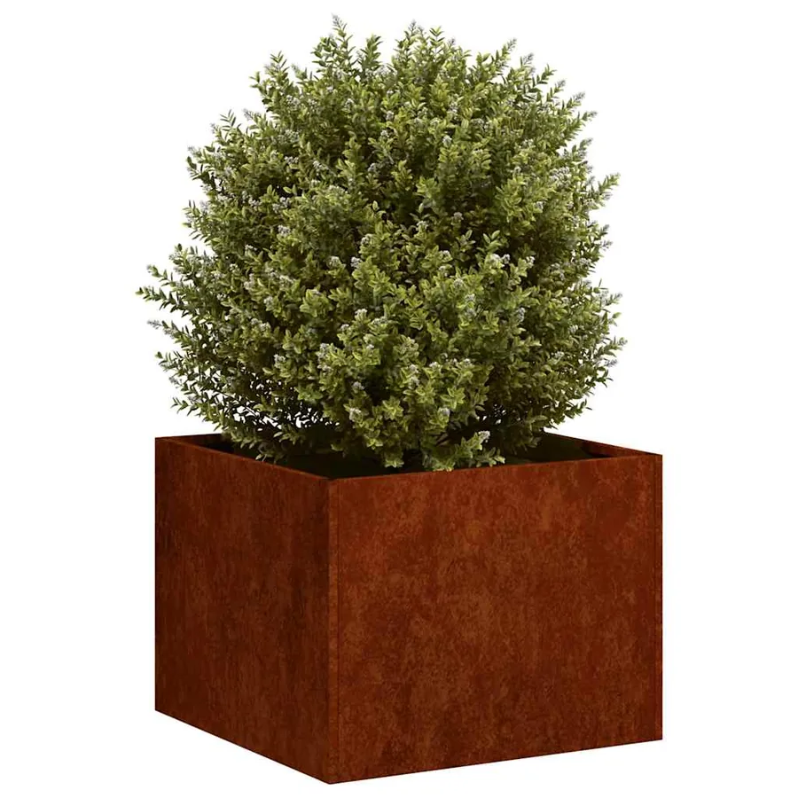 Jardinière rouillé 40x40x30 cm acier inoxydable - 3