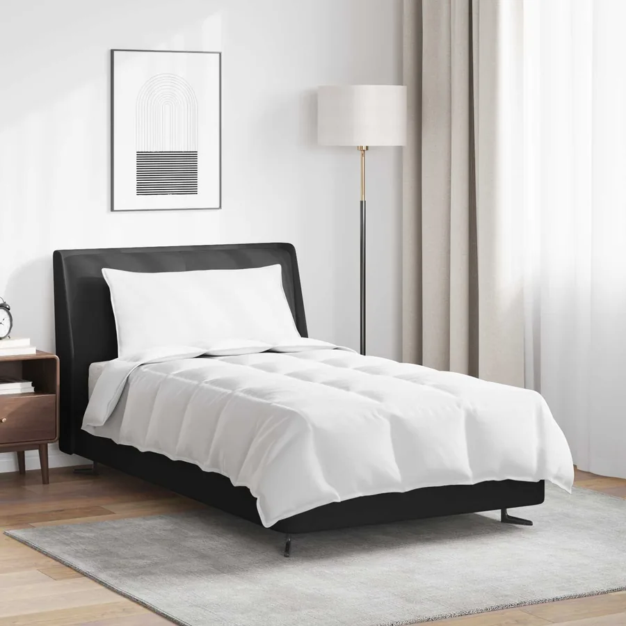Duvet 2-en-1 avec oreiller 2 pcs Blanc Plume de canard