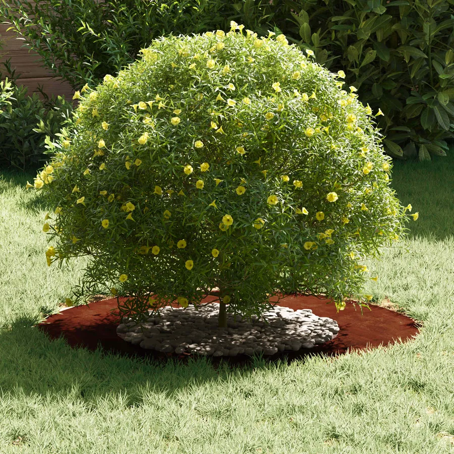 adapté pour anneaux d'arbre plats 5 pc Rouillé Ø40/70 cm - 3