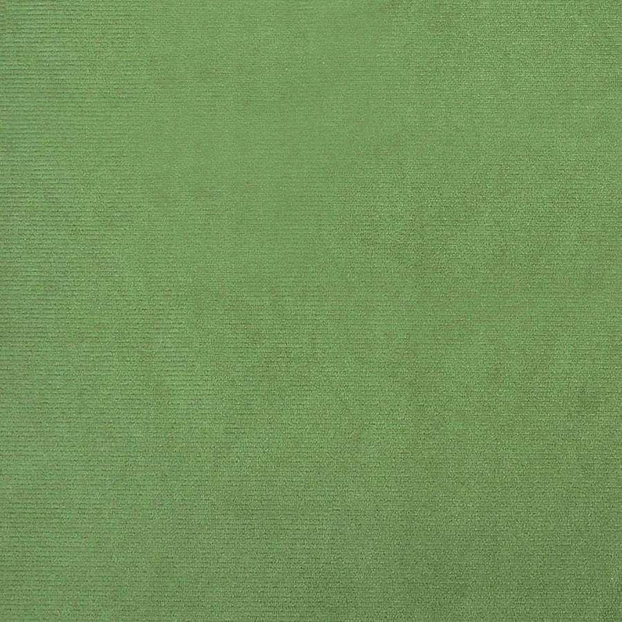 Ensemble de Canapés avec coussin 2 pcs Vert clair Polyester - 9